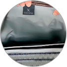 Viccina